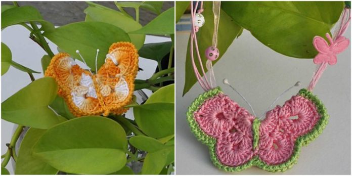 butterfly-stylesidea-coll