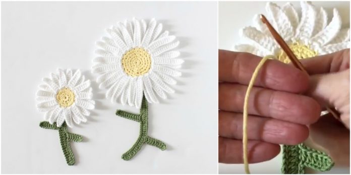 2-Daisy-Flower-Crochet-Motif-Free-Pattern